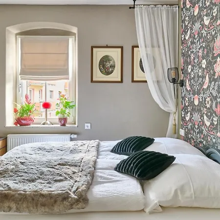 Bed & Breakfast Neidorf Neudorf (Saxony)